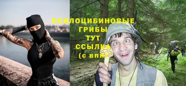 PSILOCYBIN Майский