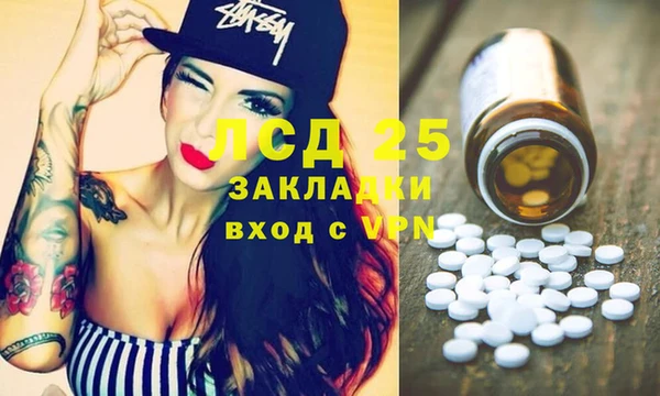 индика Медвежьегорск