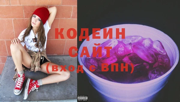 индика Медвежьегорск